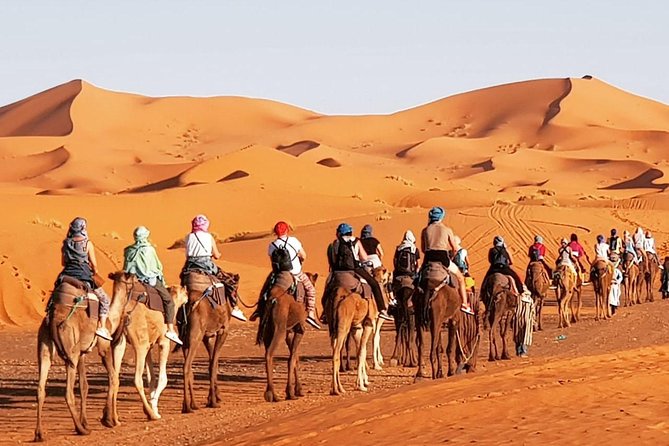 04 days Private Desert tour from Marrakech. - Day 2 to Todra Gorge and Merzouga: hiking reality, then dunes at golden hour