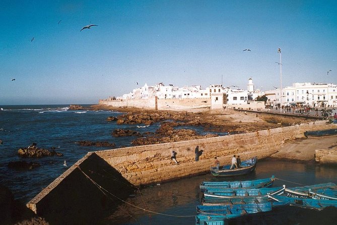 1 Day Excursion from Marrakech to Essaouira - Essaouira Fishing Port: The Classic Atlantic Scene