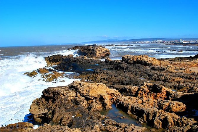 1 Day Excursion from Marrakech to Essaouira - Goats on Argan Trees: Why This Stop Is More Than a Photo Op