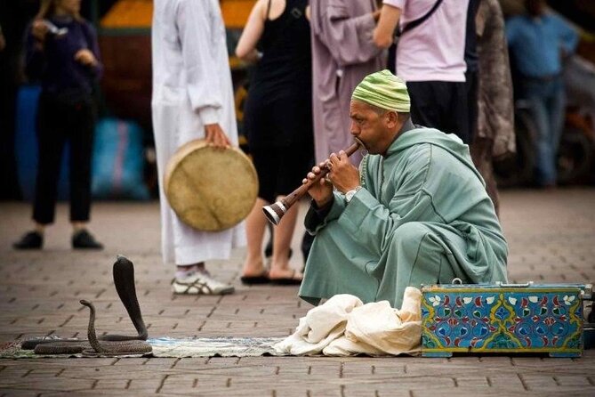 1 Day Guided Tour in Marrakech from Agadir - Comfort reality check: mini bus, long hours, and what to do