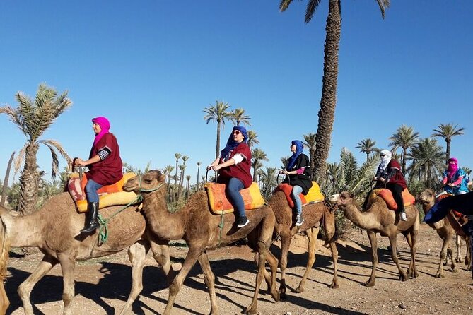 1-Hour Camel Ride and 1-Hour Quad Bike Ride in Marrakech. - Price and value: what $46.53 really covers