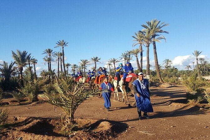 1-Hour Camel Ride and 1-Hour Quad Bike Ride in Marrakech. - What your day looks like once you’re out of Marrakech