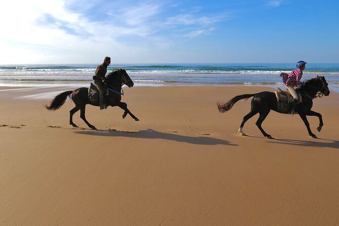 1 hour horse ride on the beach of essaouira - Price and value: why $34.89 feels fair for the package