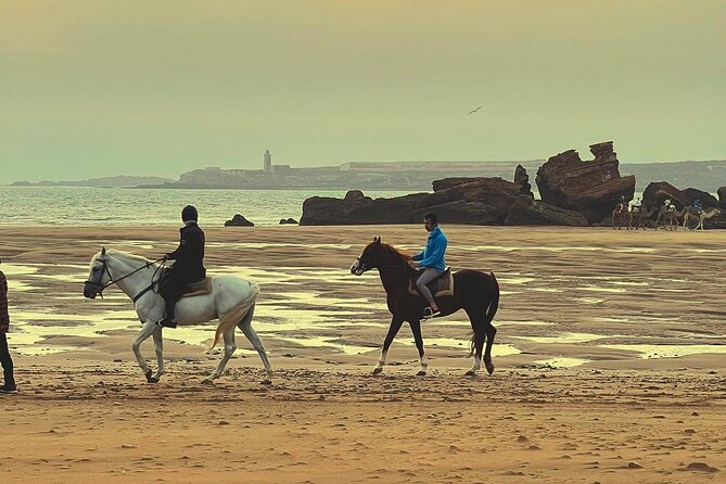 1 hour horse ride on the beach of essaouira - Should you book the Diabat beach horse ride?