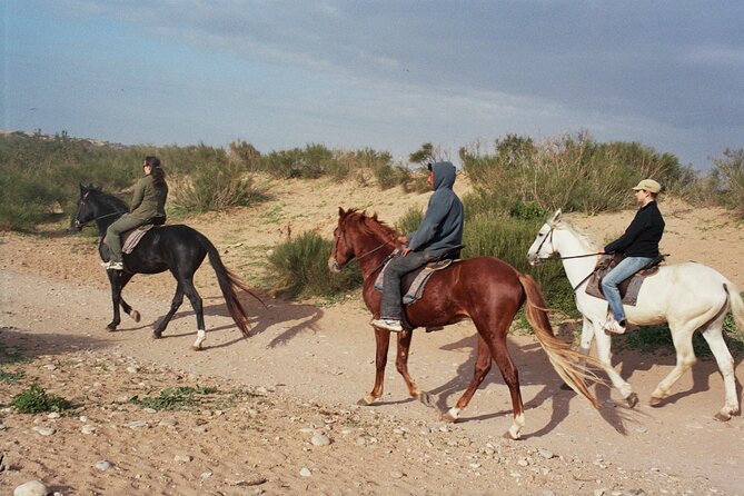 1 hour horse ride on the beach of essaouira - Guides up close: safety, friendliness, and real adjustment to you
