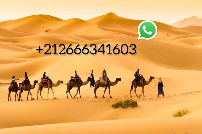1 night Camel trek in Merzouga Desert Luxury Camp NO EXTRA - Day 1: 4:00 pm Merzouga Meeting, Caravan Time, and That Sunset Pause in the Dunes