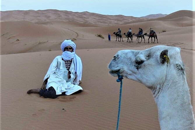 1 night Camel trek in Merzouga Desert Luxury Camp NO EXTRA - Sandboarding and the Right Amount of Extra Activity