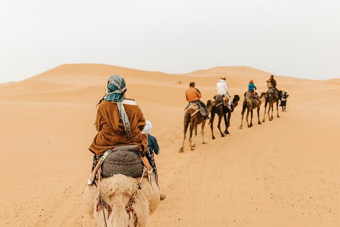 1 night Camel trek in Merzouga Desert Luxury Camp NO EXTRA - Day 2: Sunrise Camel Trek Over Erg Chebbi and a Calm Return to Merzouga