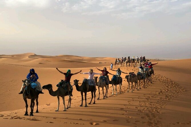 1 night Camel Treking in Merzouga Desert Luxury Camp - Timing in Merzouga: a 4:00 pm start that works