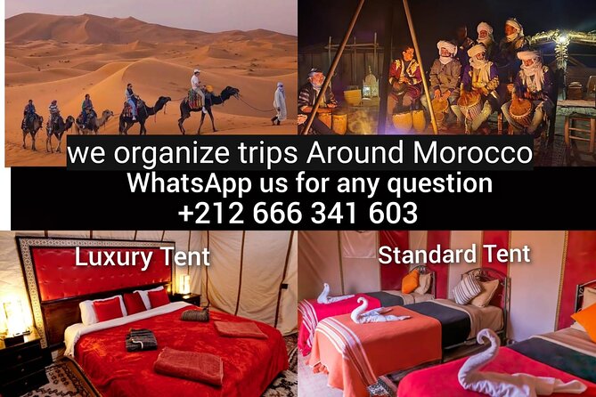 1 night Camel Treking in Merzouga Desert Luxury Camp - The camel caravan to camp: around 90 minutes through the dunes