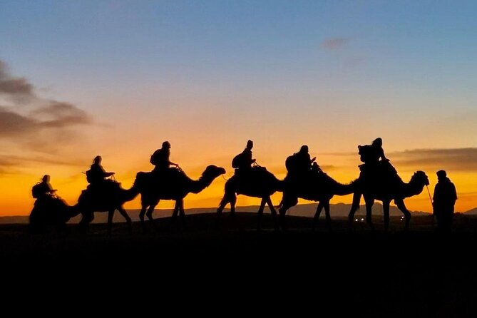 1 Night Camel Trekking in Merzouga - The Sunrise Hike and Return to Merzouga: Morning Colors and Real Breakfast