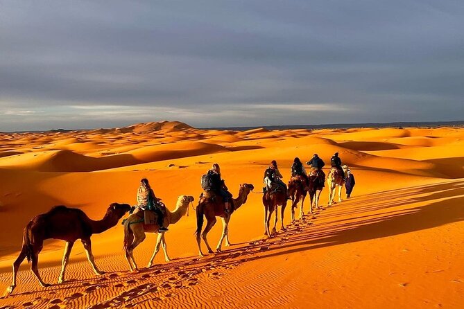 1 Night Camel Trekking in Merzouga - Price and Value: Is $58.07 Worth It?