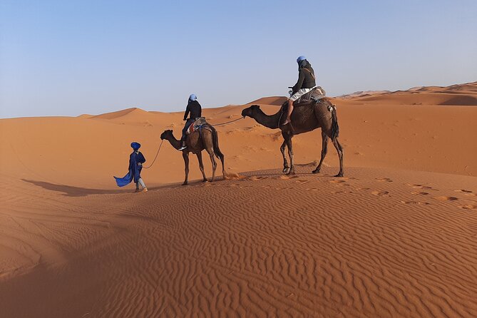 1 Night Camel Trekking in Merzouga - Who This Private Camel Trek Best Suits