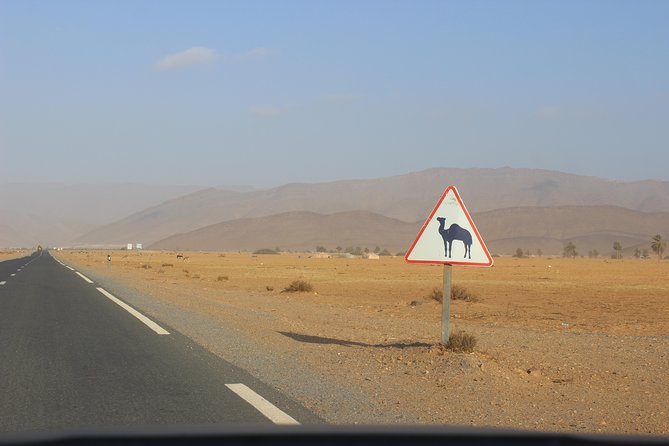 1 night in desert from Agadir - Tiznit on the Way Back: Silver Souks and Old Medina Walls