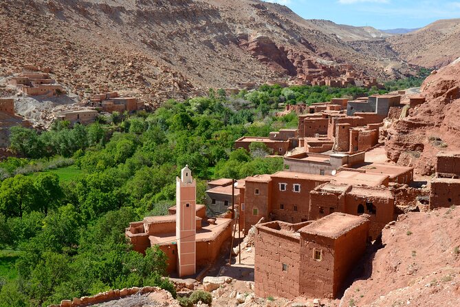 10 Day Desert Tour From Casablanca via the Imperial Cities - Day 5: Middle Atlas crossing to Merzouga, with Ifrane and Azrou stops