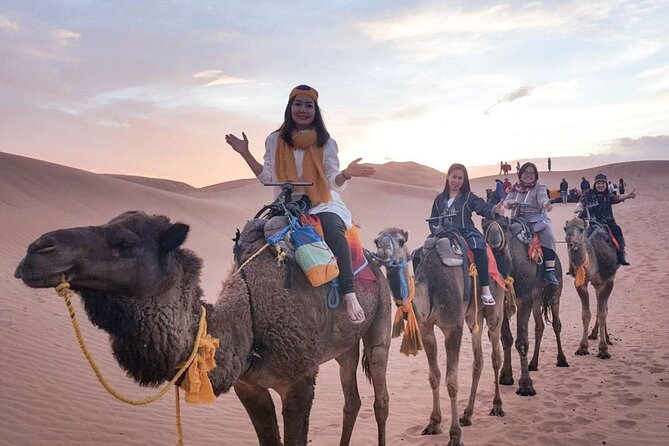 10 Days 9 Nights Luxury Tour of Morocco - Day 5: Desert Excursion, Optional Lunch, Camel Ride, Berber Camp