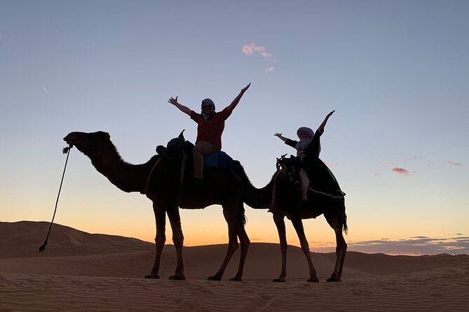 10 Days from Casablanca: The Best of Morocco - Fez medina: the full morning plus views