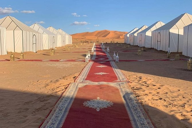 10 Days private Morocco tour from Marrakech - Day 5 in Merzouga: 4x4 exploring and camel trekking into the desert experience