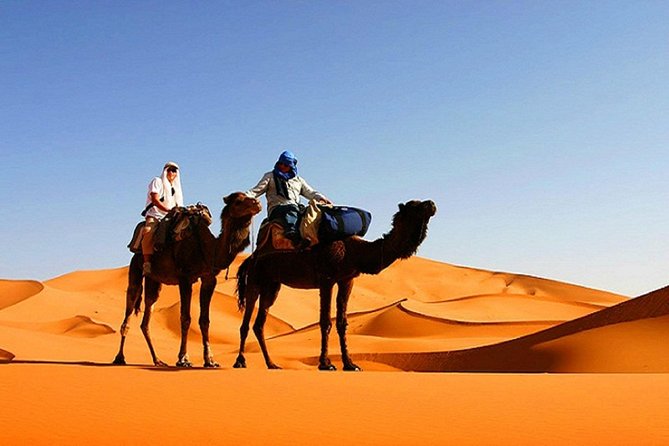 10 Days Tour From Casablanca, Morocco - Volubilis and the Rif, Then Meknes Walls to Fez Riads
