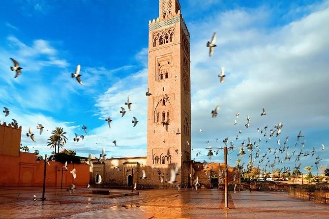 10 Days Tour From Casablanca, Morocco - The Atlas Route to Merzouga: Ifran, Azrou Apes, Midelt, Ziz Valley