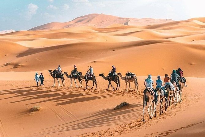 10D 9N Private Morocco Tour From Casablanca By Imperial Cities And South Desert - Dades and Todra: when the canyon walls do the talking