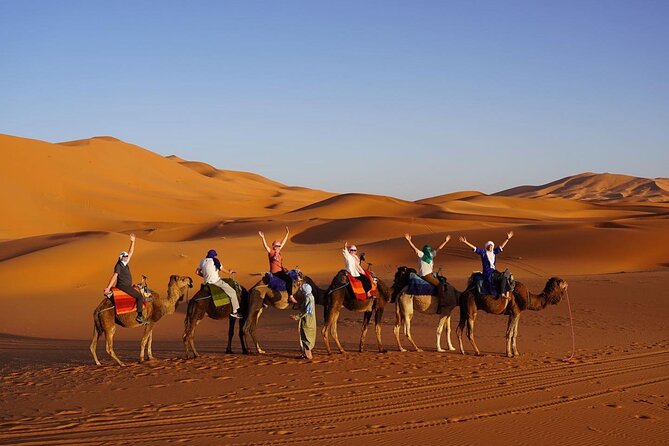 12 Day Morocco Tour - Key Highlights You’ll Feel (Fast)