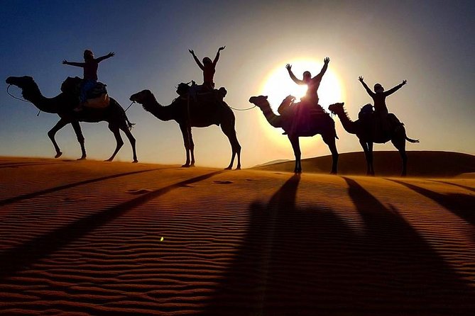12 Days From Casablanca- Cultural Immersion Tour - Price and what you’re really paying for