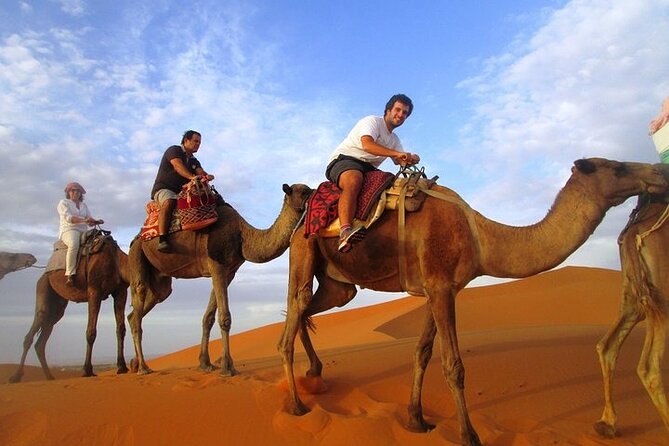 12 Days Private Luxury Sightseeing Tour in Morocco - Day 1 in Casablanca: Hassan II Mosque and the Rick’s Café Option