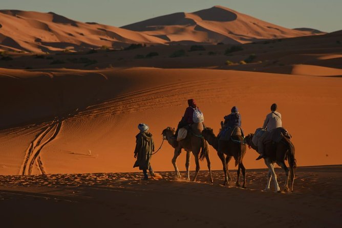 2 Day Desert Tour from Fez with Camel ride Overnight luxury Camp - Key things that make this tour work well