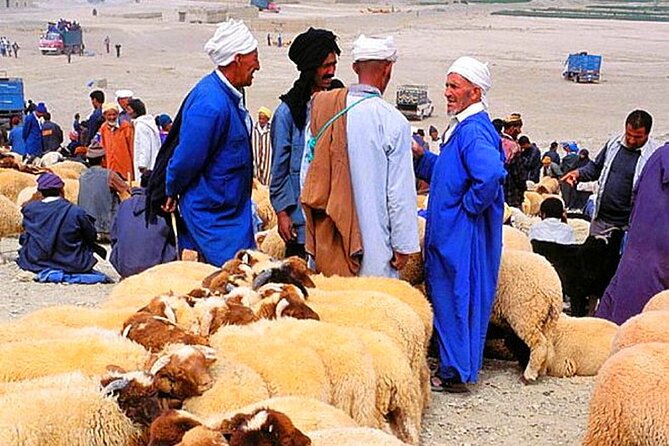 2 Day Desert Tour From Marrakech through the Atlas Mountains & Camel ride - Key things to know before you go