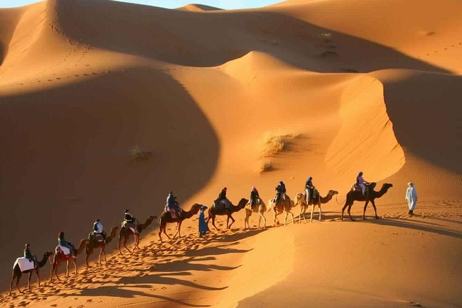 2 Day Desert Tour From Marrakech through the Atlas Mountains & Camel ride - Draa Valley driving: where the journey gets its best photos