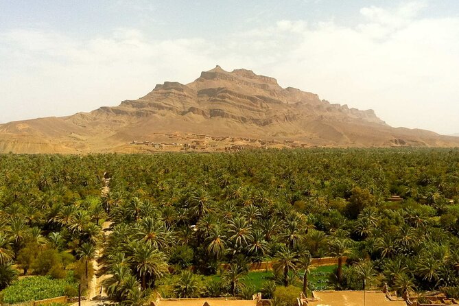 2-Day Desert Tour from Marrakech to Zagora Private & Luxury - Day 2, Draa Valley palms, and morning light in the oasis