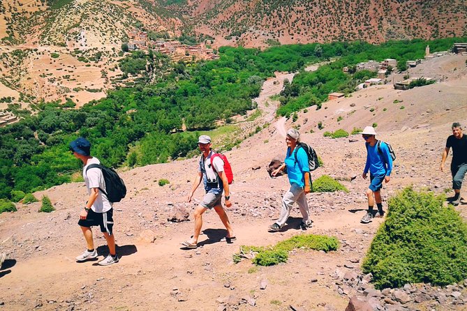 2-Day Guided Trek of the Atlas Mountains and Berber Villages - Tizi Mzik Pass viewpoints and the Mt. Toubkal sighting factor