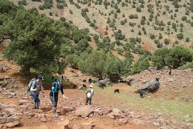 2-Day Guided Trek of the Atlas Mountains and Berber Villages - Guides, safety habits, and what to expect from the group size