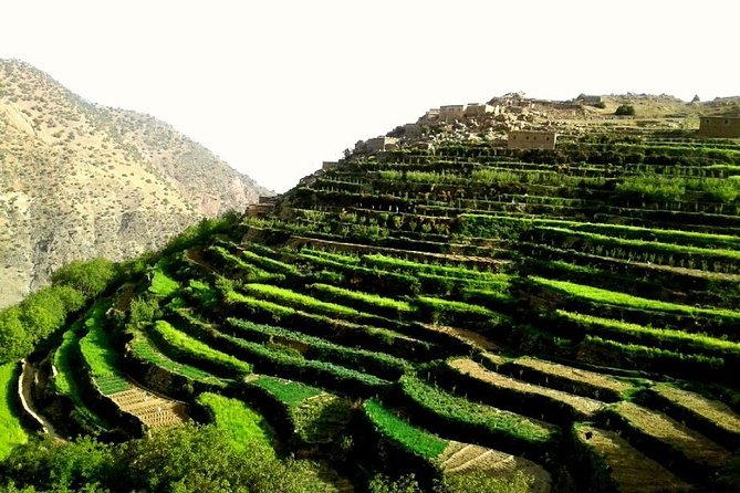 2-Day Guided Trek of the Atlas Mountains and Berber Villages - Mules, meals, and the small “value” decisions you feel on the trail