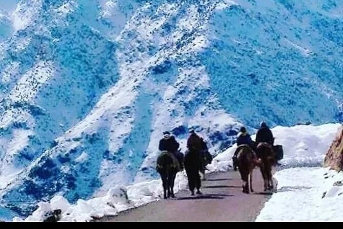 2-Day Jebel Toubkal Trek From Marrakech - Who should book this Jebel Toubkal trek, and who might not love it