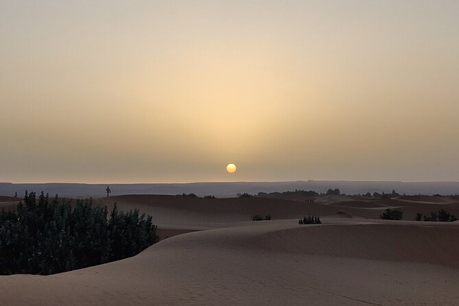 2 Day Luxury Desert Tour from Fes to Fes or Marrakech - Transport and group size, what comfort looks like here