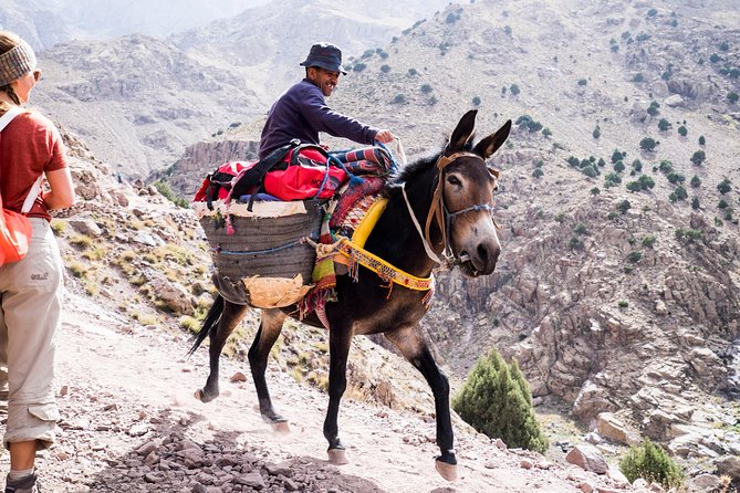 2 day mount toubkal trek ( private trek ) - Key Things to Know Before You Go