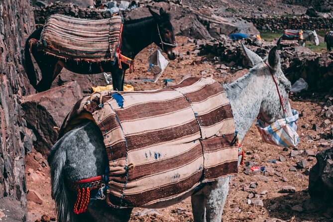 2 day mount toubkal trek ( private trek ) - Who This Trek Fits Best, and Who Should Rethink It