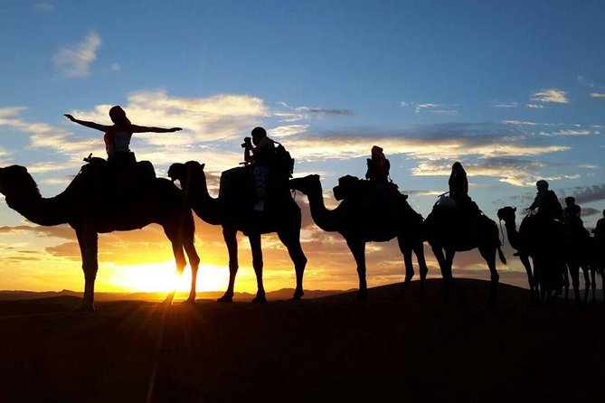 2-Day Zagora Desert Tour from Marrakech - The Long Van Ride, and What It Means for Comfort