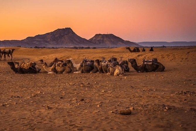 2 Days 1 Night Amazing Zagora Desert Tour From Marrakech - The early morning rhythm: Taddart coffee and Tizi n Tichka
