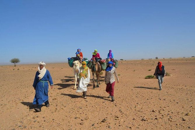 2 Days 1 Night To Zagora Desert From Marrakech - Day 1 Stops: Tizi n Tichka, Ait Ben Haddou, and the Caravan-Road Feel