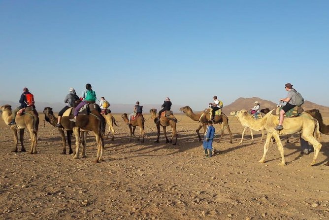 2 Days 1 Night To Zagora Desert From Marrakech - Desert Camp Night: What Included Really Covers (and What to Expect)