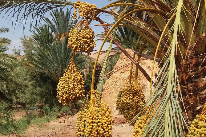 2 Days 1 Night To Zagora Desert From Marrakech - Transportation and the Reality of “2 Days”