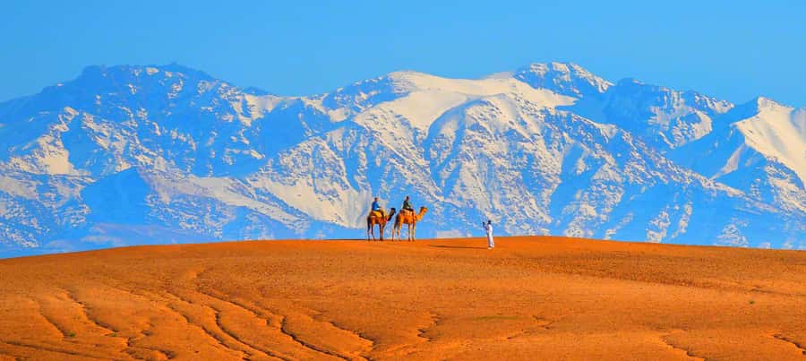 2 Days Desert Agafay and Atlas Mountains Trek From Marrakech - Price and value: is $100 really fair for two days?