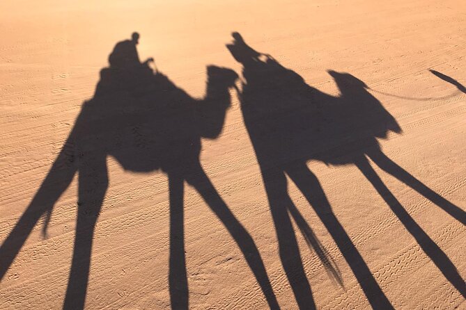 2-Days Desert Tours from Fes with Overnight in Luxury Camp - Day 2 Sunrise Dunes Near Algeria, Rissani Souk Energy, And The Return Stop In Midelt