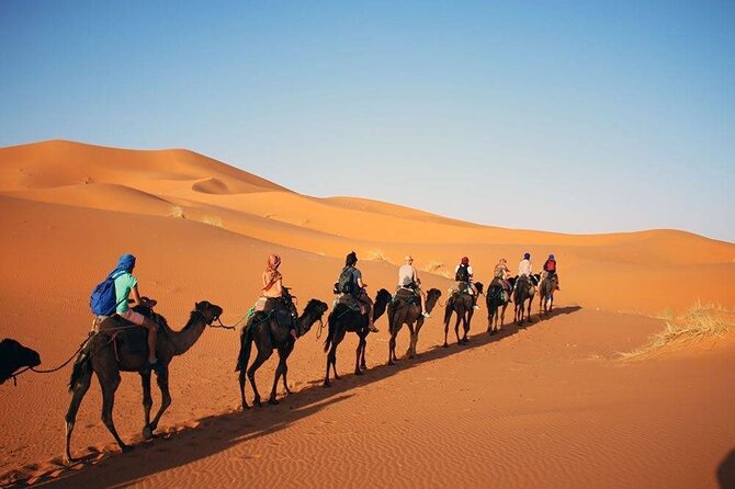 2 Days Desert Trip Back To Fes/ Or Marrakech - Comfort, Group Size, and The Real Pace of the Road
