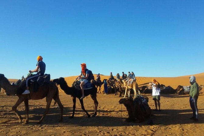 2 Days Desert Trip Back To Fes/ Or Marrakech - Camel Ride and Desert Camp: What Makes the Night Work