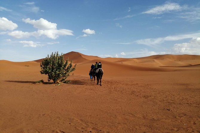 2 Days Fes Desert trip Overnight Erg chebbi End up Fes/Marrakech - Who This Trip Fits Best, and Who Might Want More Time