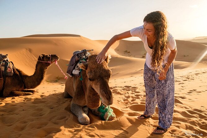 2 days luxury desert trip [fes to fes or marakech] - Getting Out of Fez: Pickup, AC Comfort, and the Atlas-to-Dunes Build-Up